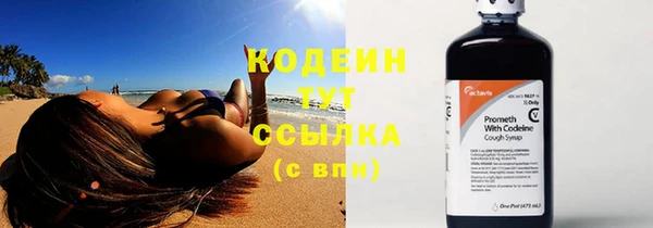 ECSTASY Няндома