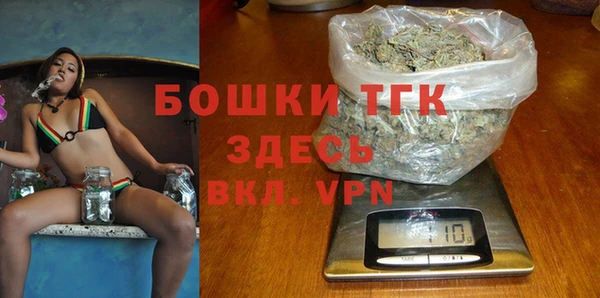 ECSTASY Няндома
