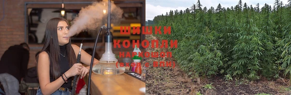 ECSTASY Няндома