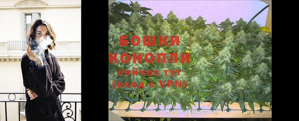 ECSTASY Няндома