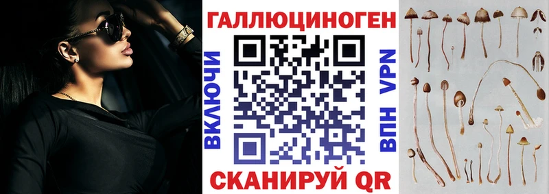ссылка на мегу ссылка  площадка состав  Галлюциногенные грибы MAGIC MUSHROOMS  Ртищево 