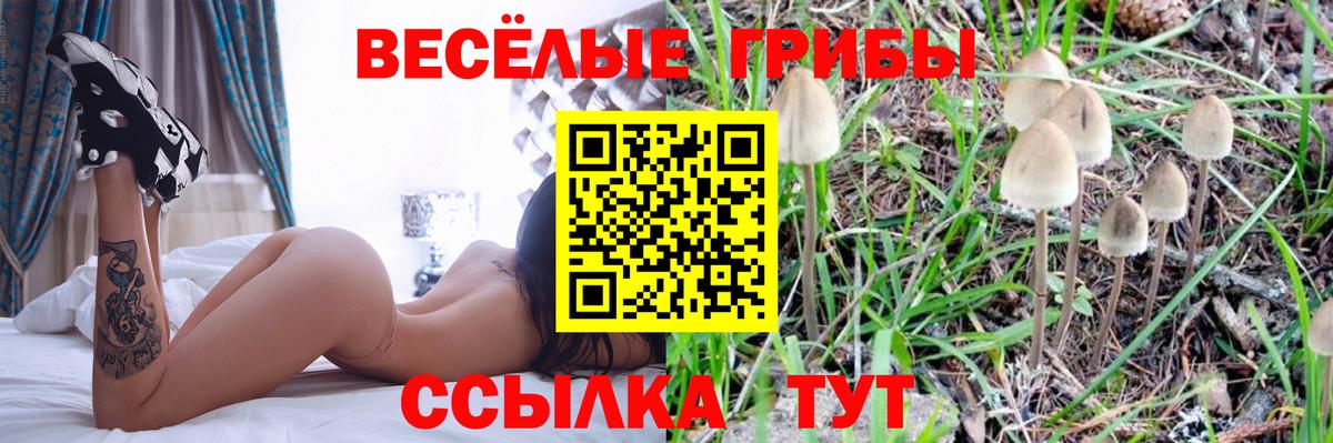 Галлюциногенные грибы MAGIC MUSHROOMS Ртищево