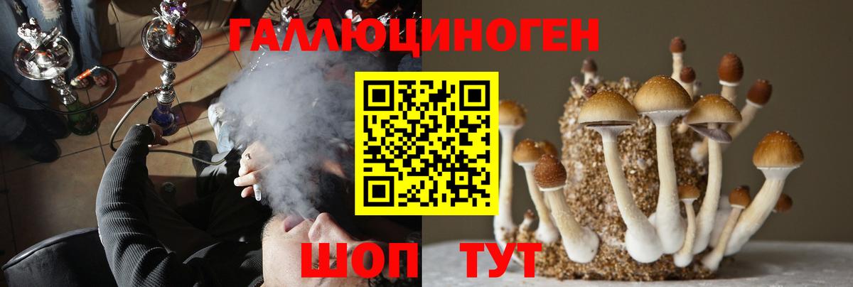 Псилоцибиновые грибы прущие грибы  Вход с VPN  Ртищево 